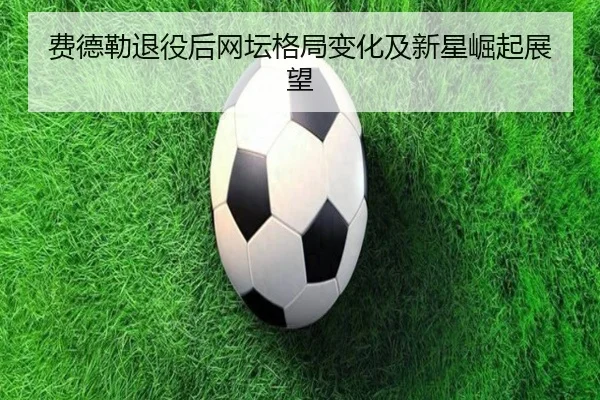 费德勒退役后网坛格局变化及新星崛起展望